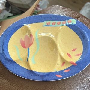 Colorful Divided Plate